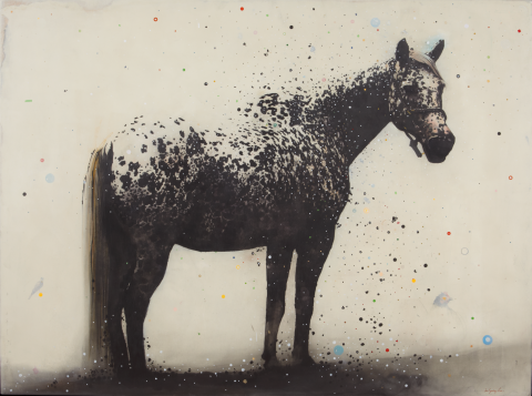 Caballo
